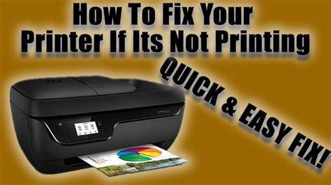 Why is my printer not printing?