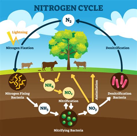 Why is nitrogen blue?