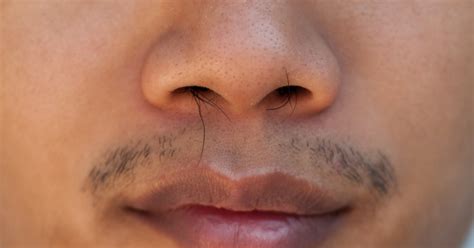 Why is nose hair so thick?