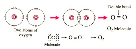 Why is oxygen not O1?