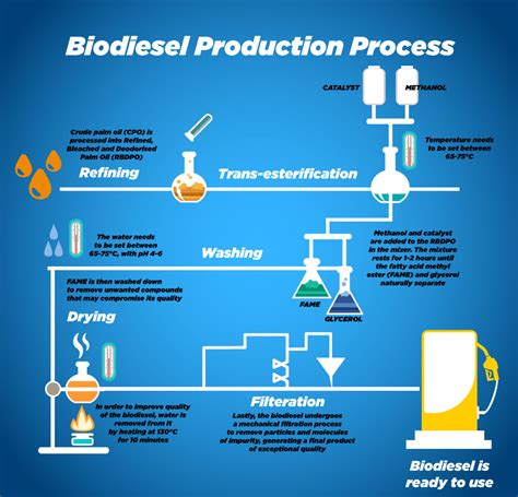 Why is palm oil used in biodiesel?
