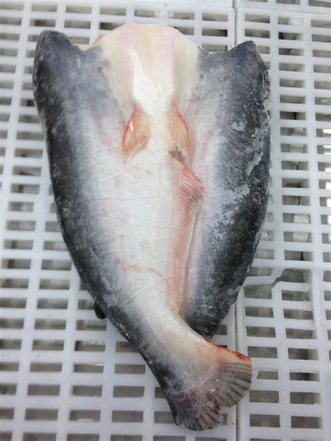 Why is pangasius so cheap?