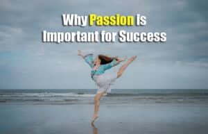 Why is passion for excellence important?