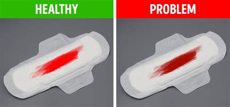 Why is period blood the cleanest blood?