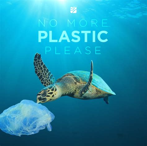 Why is plastic a curse?