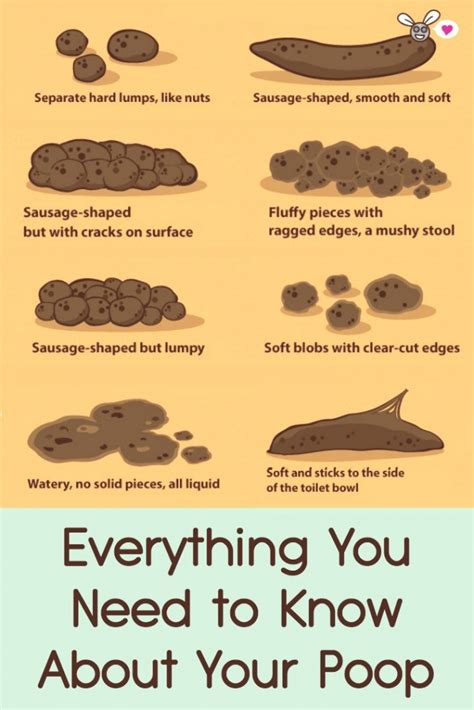 Why is poop sticky?