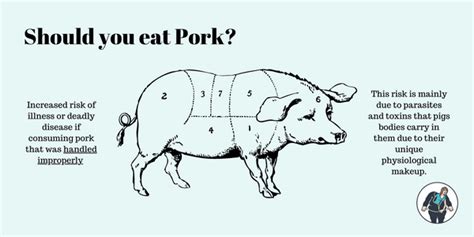 Why is pork unclean?