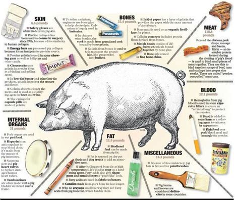 Why is pork unclean scientifically?
