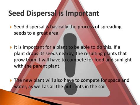 Why is seed processing important?