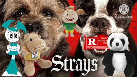 Why is strays a 15?