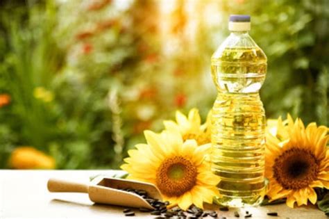 Why is sunflower oil the best?