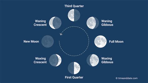 Why is the Moon half today?