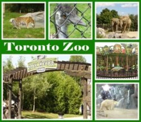 Why is the Toronto Zoo important?