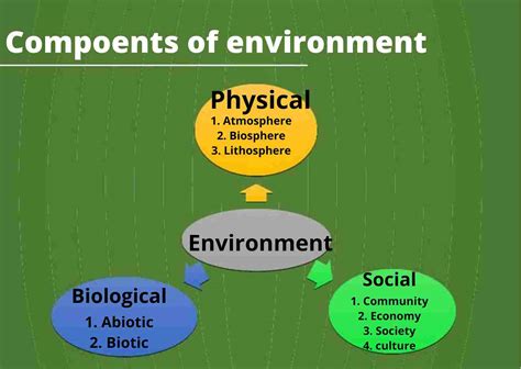 Why is the general environment important?