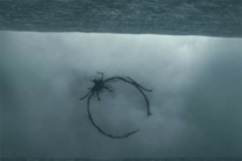 Why is the movie Arrival so dark?