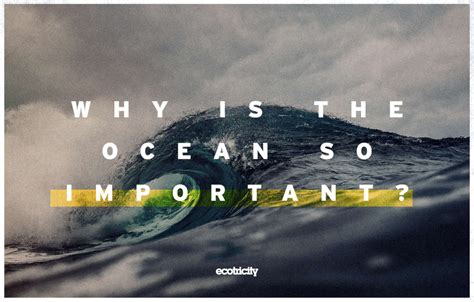 Why is the ocean so loud?