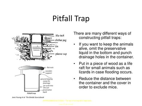 Why is the pitfall trap important?