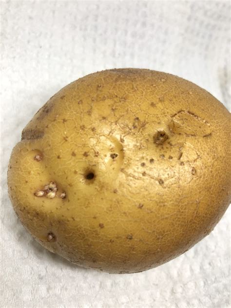 Why is there a brown hole in the middle of my potatoes?