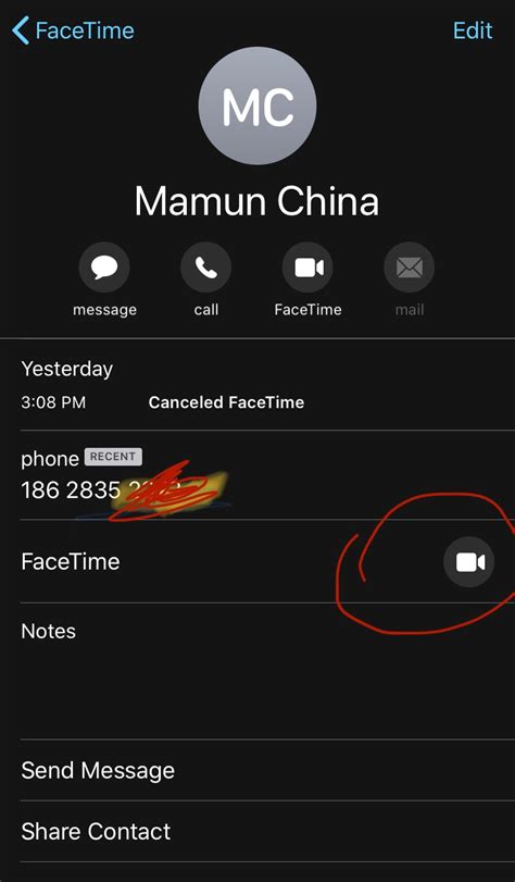 Why is there no FaceTime audio in China?