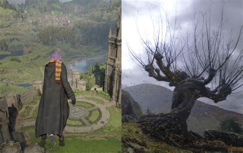 Why is there no Whomping Willow in Hogwarts Legacy?