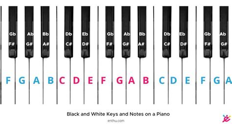 Why is there no black key between E and F?