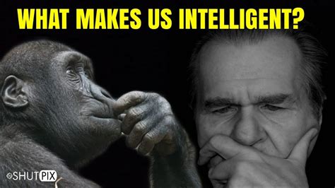 Why is there only 1 intelligent species on Earth?