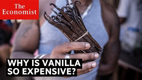 Why is vanilla so expensive in Madagascar?