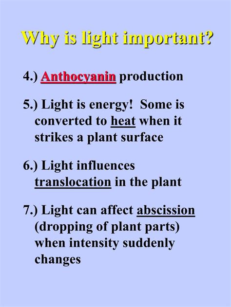 Why is visible light important to life?