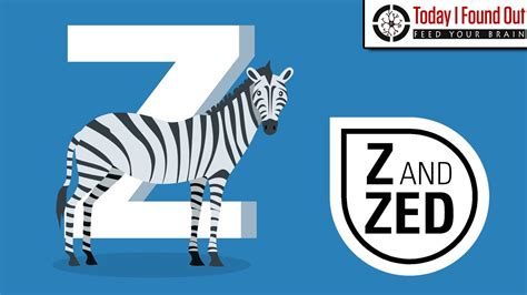 Why is z zed?