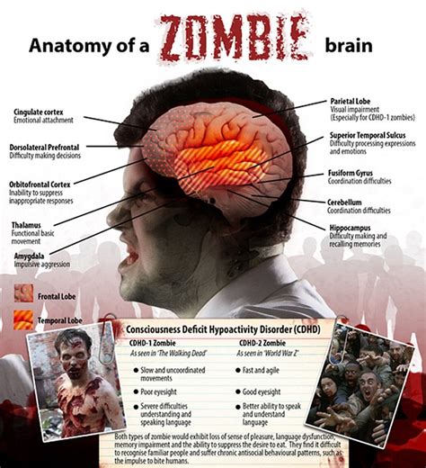 Why is zombie called zombie?