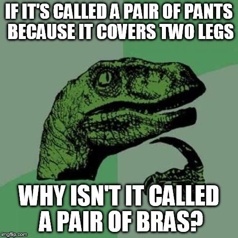 Why isn t it a pair of bras?