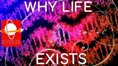 Why life exists?