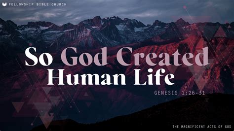 Why life was created?