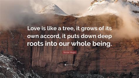 Why love is like a tree?