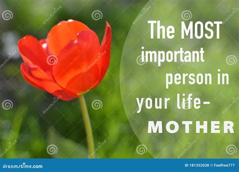 Why mother is the most important person?