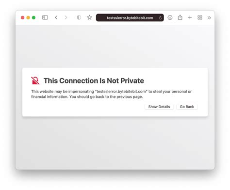 Why my connection is not private?