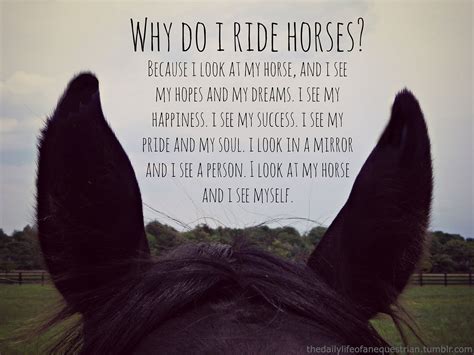 Why my horse doesn't trust me?