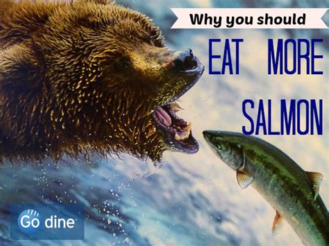 Why not eat salmon?