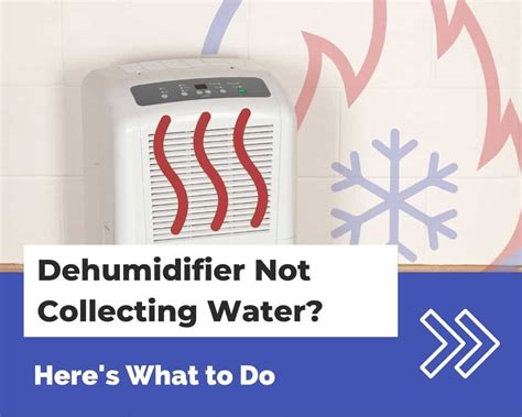 Why not to use a dehumidifier in the winter?