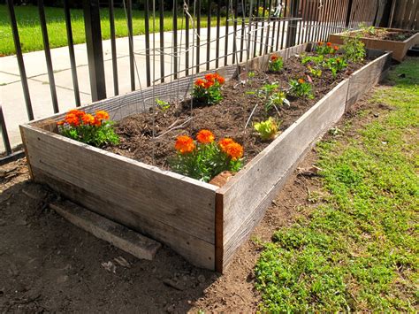Why not use treated wood for raised garden beds?
