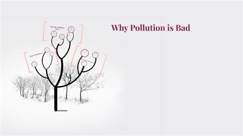 Why pollution is bad?