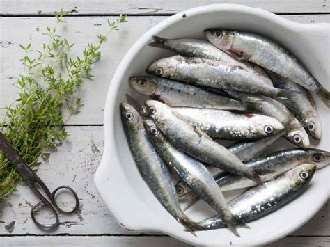 Why sardines better than salmon?