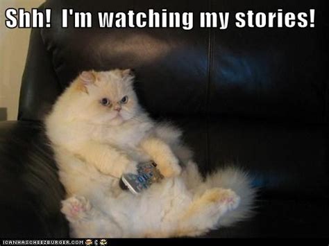 Why she keeps watching my stories?