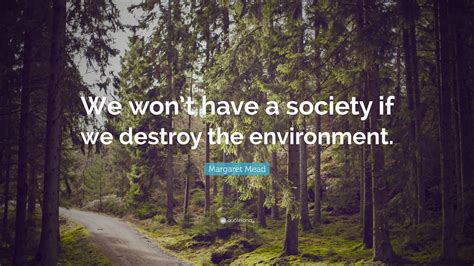 Why should we not destroy the environment?