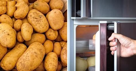 Why should you not put potatoes in the refrigerator?