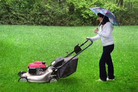 Why should you wait to mow?