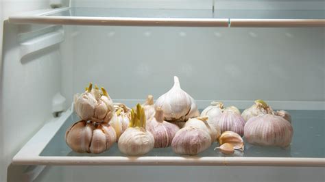 Why shouldn't you keep garlic in the fridge?
