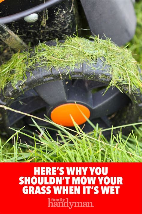 Why shouldn't you mow wet grass?