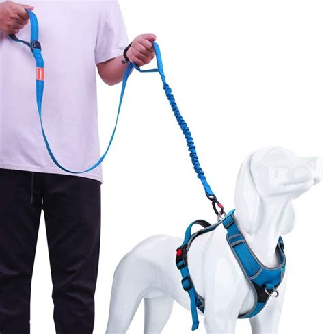 Why shouldn't you put a harness on a dog?