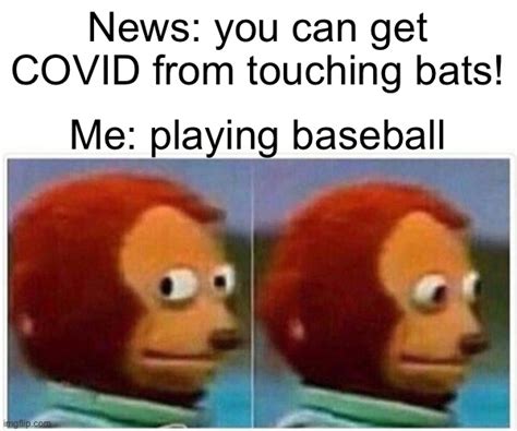 Why shouldn't you touch a bat with bare hands?